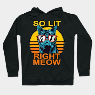 So Lit Right Meow Hoodie